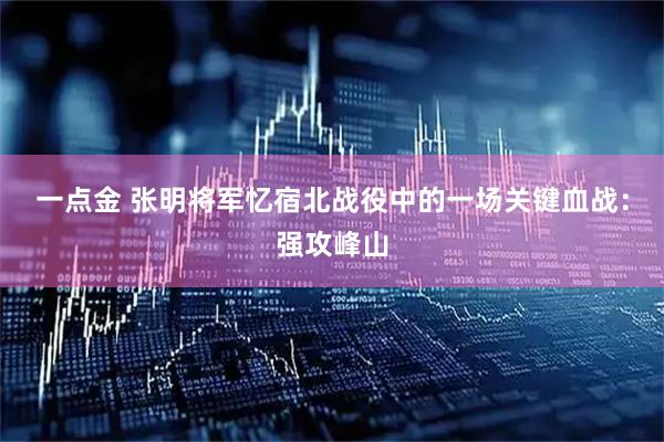 一点金 张明将军忆宿北战役中的一场关键血战:强攻峰山